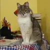 Отзыв от Венера Зубкова